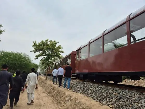 Passenger train passing through the forest park