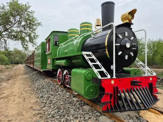 Train in operation at Changa Manga Eco-Park